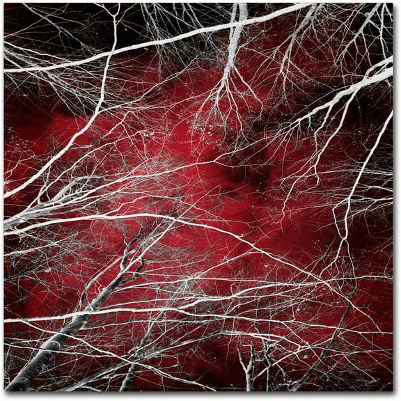 Trademark Fine Art "Fear" Canvas Art by Philippe Sainte-Laudy