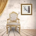 thumbnail image 3 of Sommers, Mindy 20x20 Gold Ornate Wood Framed with Double Matting Museum Art Print Titled - Silver Deer II, 3 of 4