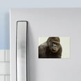 thumbnail image 3 of CafePress - Gorilla - Rectangle Magnet, 2"x3" Refrigerator Magnet, 3 of 3