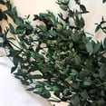 thumbnail image 3 of 3.53oz Dried Leaf Multipurpose Natural Eucalyptus Faux Flower Photo Prop, 3 of 6
