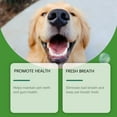 thumbnail image 6 of Advanced Oral Care Powder for Plaque Removal and Fresh Breath Support Without Brushing for Optimal Dog Hygiene, 6 of 9