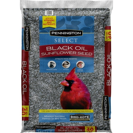 Pennington Select Black Oil Sunflower Seed Wild Bird Seed and Feed, 40 Lbs