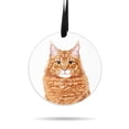 thumbnail image 1 of WIRESTER Large 3 inch Acrylic Ready to Hang Ornament, Hanging Ornaments for Christmas Tree Holidays Party Home Office Xmas Tree Decoration Gift - Ginger Orange Tabby Maine Coon Cat, 1 of 6