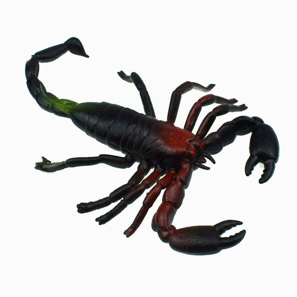 DZT1968 1PC Educational Science Toy Simulated Scorpion Model Toy For ...