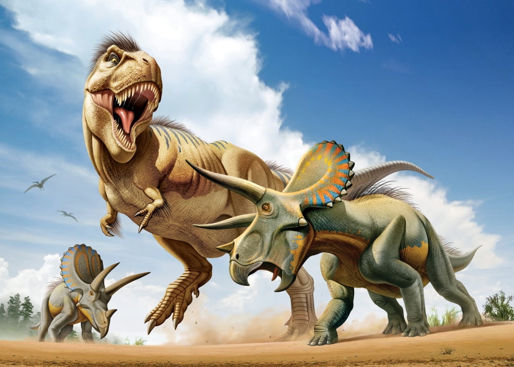 Tyrannosaurus Rex fighting with two Triceratops while trying to hunt them Poster Print (16 x 12