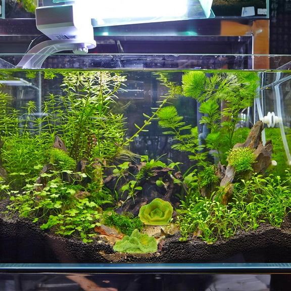 LEORX 2Pcs Fish and Shrimp Shelter Aquarium Hideout Ornament Green Resin for Pet Owners Underwater Environment