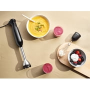 Vitamix 2-Speed Immersion Blender + Whisk Attachment, Black