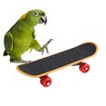 thumbnail image 3 of HEEPDD Juguetes de Loro, Parrot De pie Perch Bird Entrenamiento Divertido Jugar a Cockatiels de Juguetes interactivos Stand Educativo Juguetes para pájaros Loros Khall Tendencias, 3 of 6