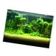 Aquarium Fond Affiche Aquarium Autocollant de Papier Peint Sous-Marin 122x61cm – image 1 sur 8