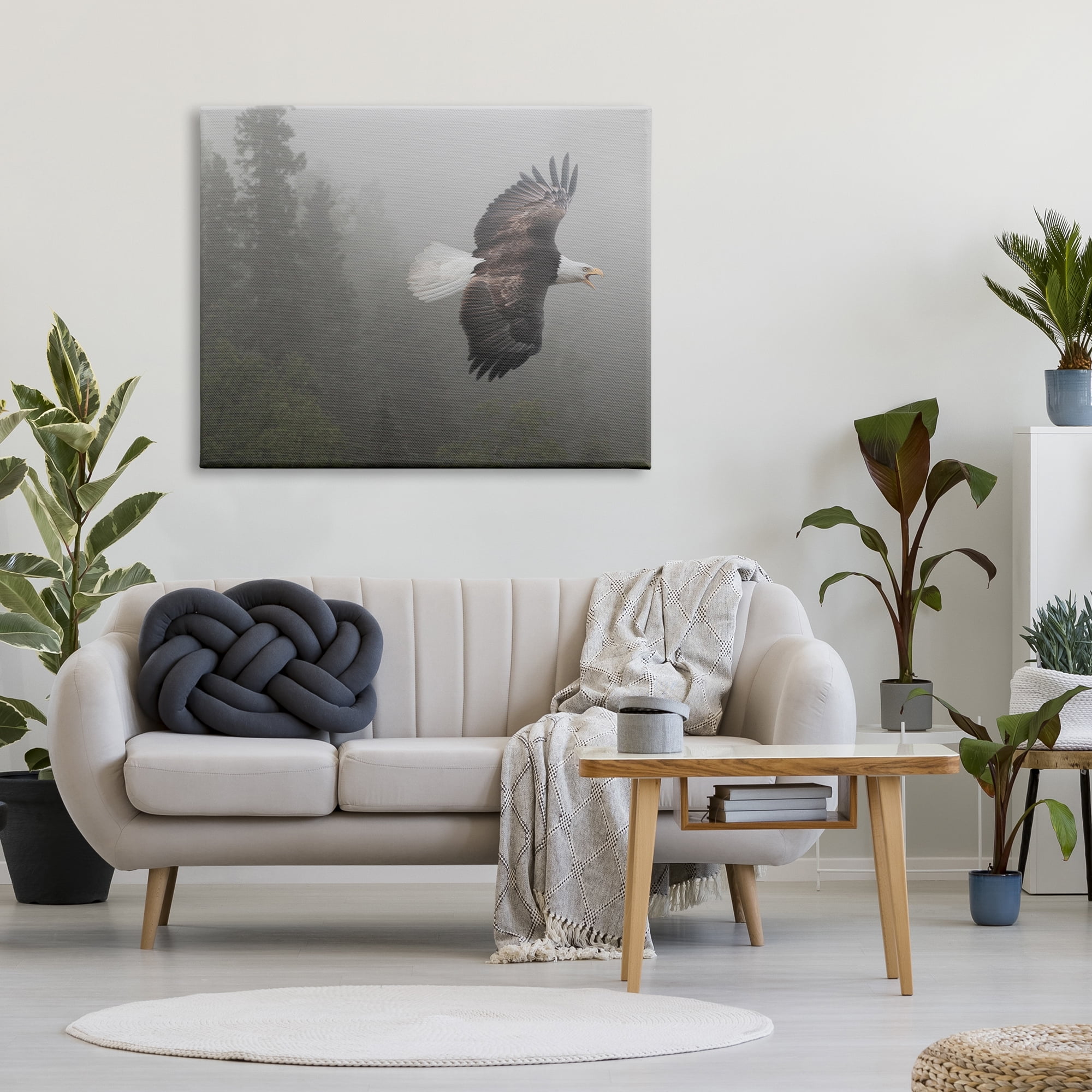 Stupell Industries Soaring Eagle in Nature Animals & Insects Photography Gallery Wrapped Canvas Print Wall Art, 48 x 36