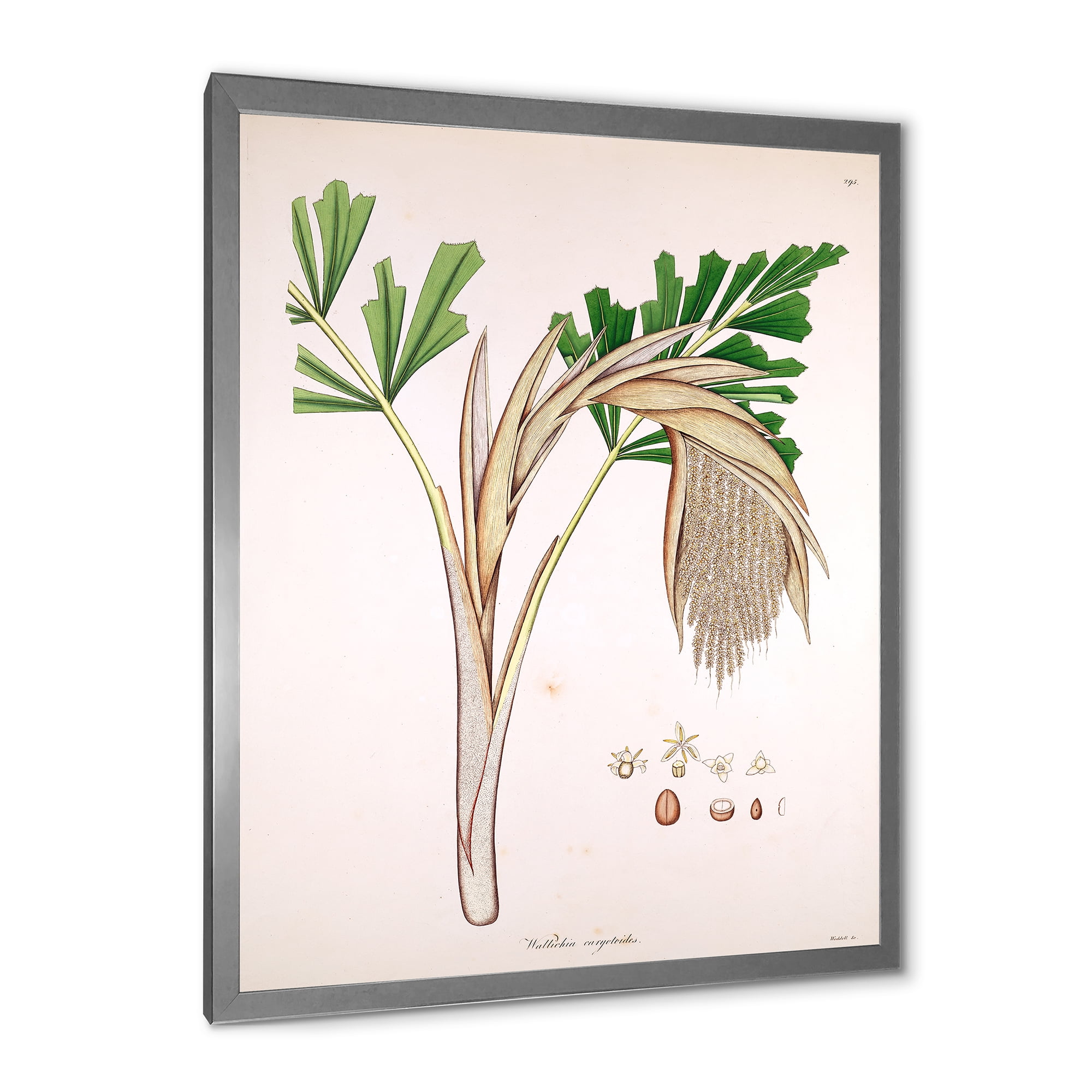 Designart 'Ancient Plant Life XV' Farmhouse Framed Art Print