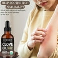 thumbnail image 6 of Organic Clove Essential Oil – 100% Pure, USDA Certified Clove Bud Oil for Teeth & Gums, Toothache Relief, Hair Growth, 6 of 8