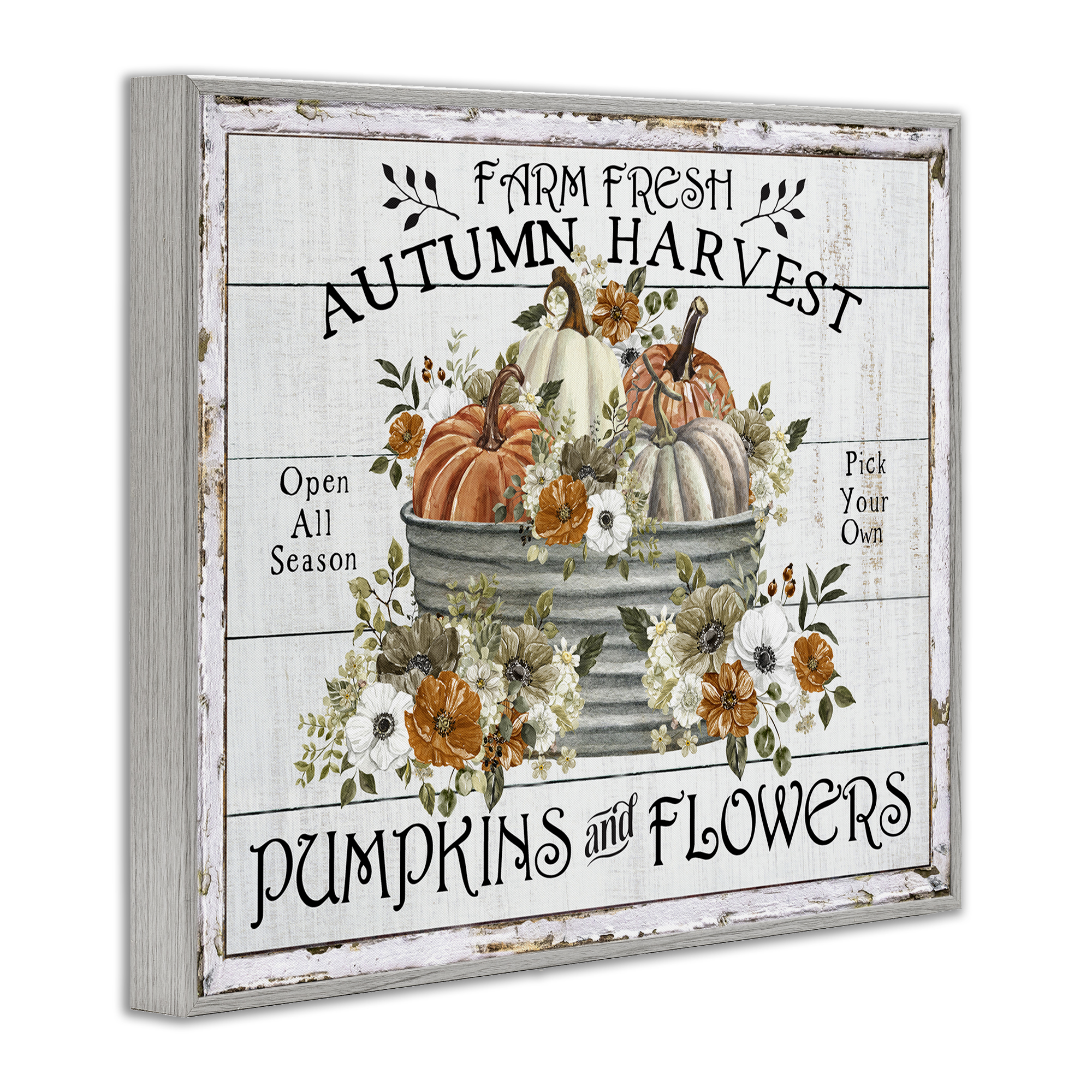 Stupell Industries Farm Fresh Harvest Pumpkin Holiday Painting Gray Framed Art Prints Wall Art, 30 x 24