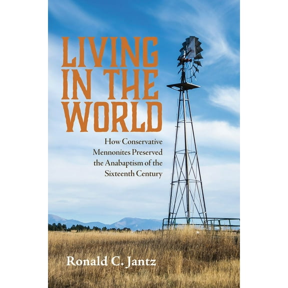 Living in the World (Hardcover)