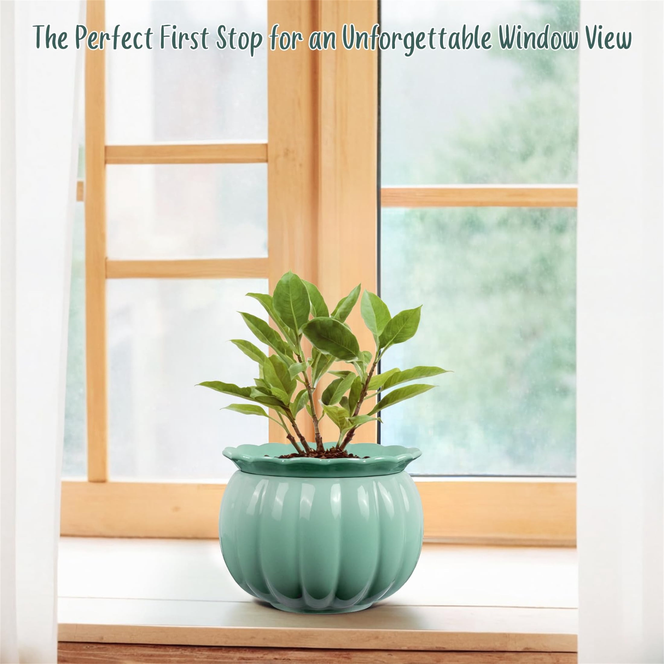 EFISPSS  African Violet Pot ,6" Ceramic Pumpkin  Easy Self Watering Flower Pot, For Indoor Plants,Glaze Blue