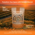 thumbnail image 6 of Marigold Flower Seeds Pack 1 oz - Over 9,250 Non-GMO Heirloom Flower Seeds for Planting, Annual Flowers in Individual Seed Packet for Planting Home Garden, 6 of 6
