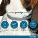 thumbnail image 2 of Collar antipulgas y garrapatas Seresto para perros grandes de más de 8 kg, 2 of 6