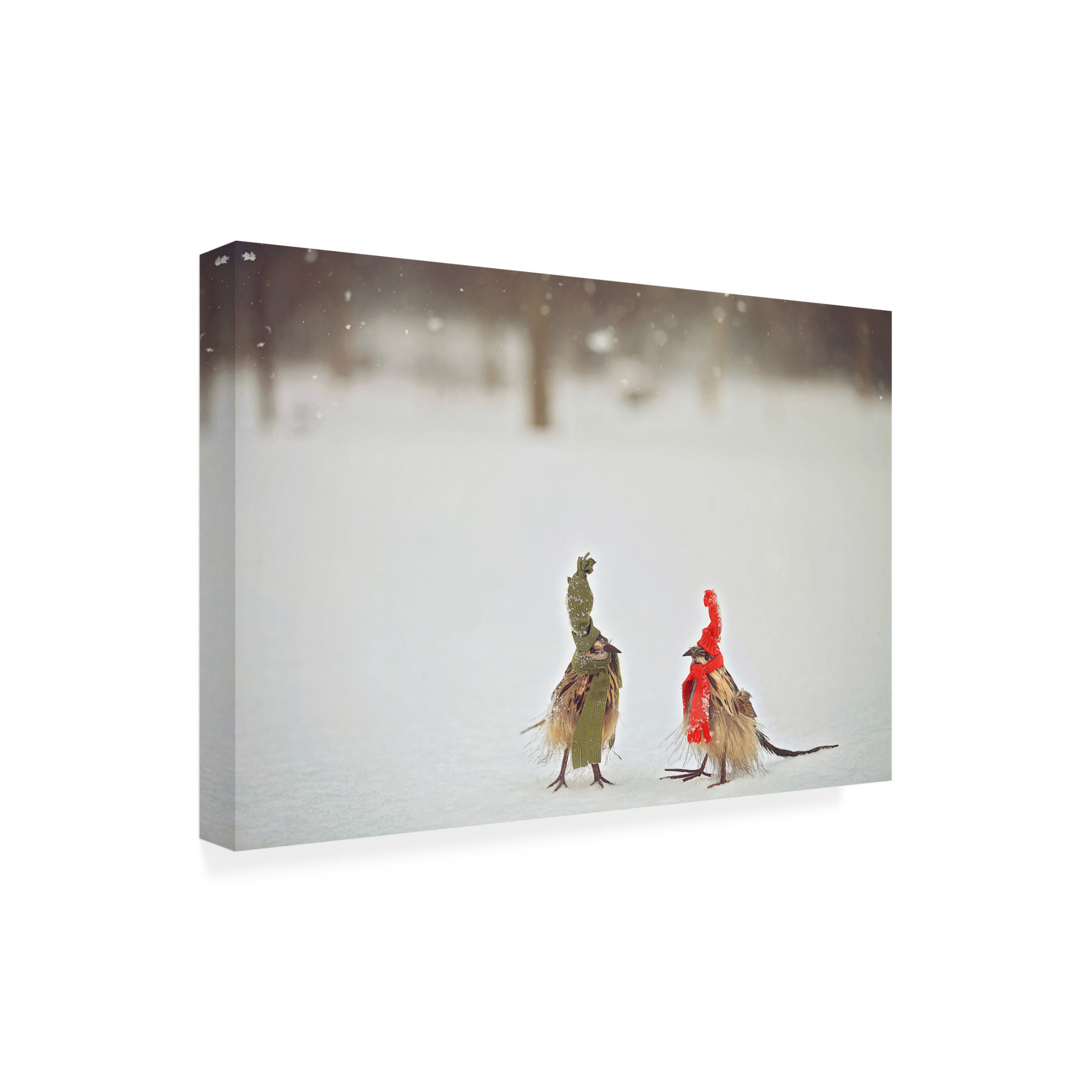 Canvas Wall Art - Carrie Ann Grippo-Pike 'Weathered Feathered Friends' Wall Art for Living Room, Bedroom, or Office Décor by Trademark Fine Art - 19 x 12 Inches