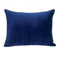 thumbnail image 1 of Parkland Collection PILL21239P Miki Transitional Blue Rectangle Throw Pillow, 1 of 1