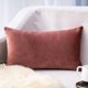 thumbnail image 1 of Fundas de almohada de terciopelo Cterwk con cremallera, fundas de almohada de lujo súper suaves para sofá cama, 1 of 6