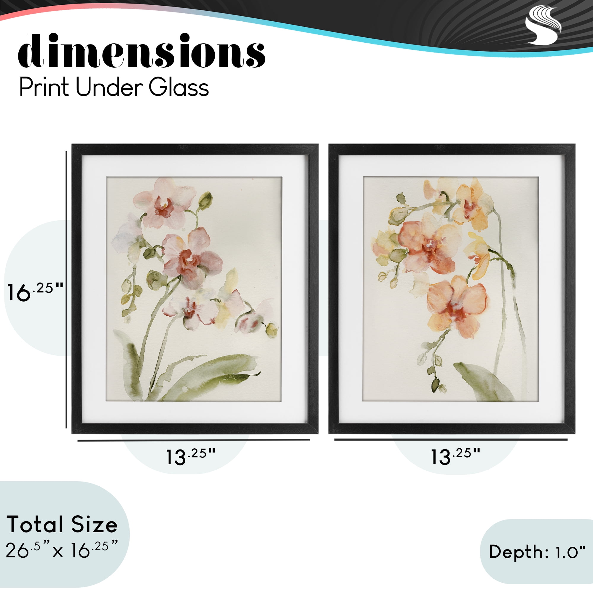 Stupell Industries Delicate Orchids in Bloom 2 Piece Black Framed Print Under Glass Set, design by Victoria Barnes