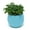 Blue, variant on Limei 5 Pack Cute Succulent Plants Flower Pot Saucer Tray Planter Home Desk Garden Decor