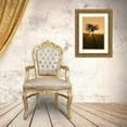 thumbnail image 3 of Londal, Leif 17x24 Gold Ornate Wood Framed with Double Matting Museum Art Print Titled - Dream of becoming big., 3 of 4
