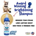 thumbnail image 3 of Champú para mascotas South Bark's Blueberry Facial 355 ml, 3 of 9
