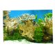 thumbnail image 5 of Fondo de Acuario 3D Yuyangstore Paisaje de Pecera Hierba, 5 of 8