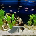thumbnail image 1 of Nestingho Plataforma De Plástico Para Reptiles Con Superficie Para Descanso Y Escalada, 1 of 7