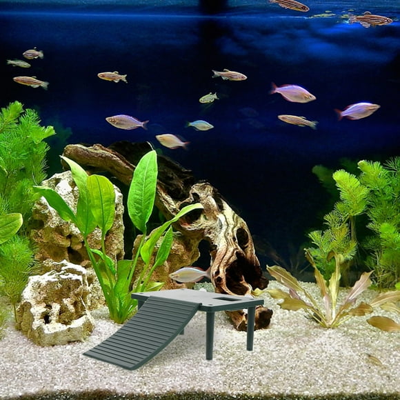Nestingho Plataforma De Plástico Para Reptiles Con Superficie Para Descanso Y Escalada