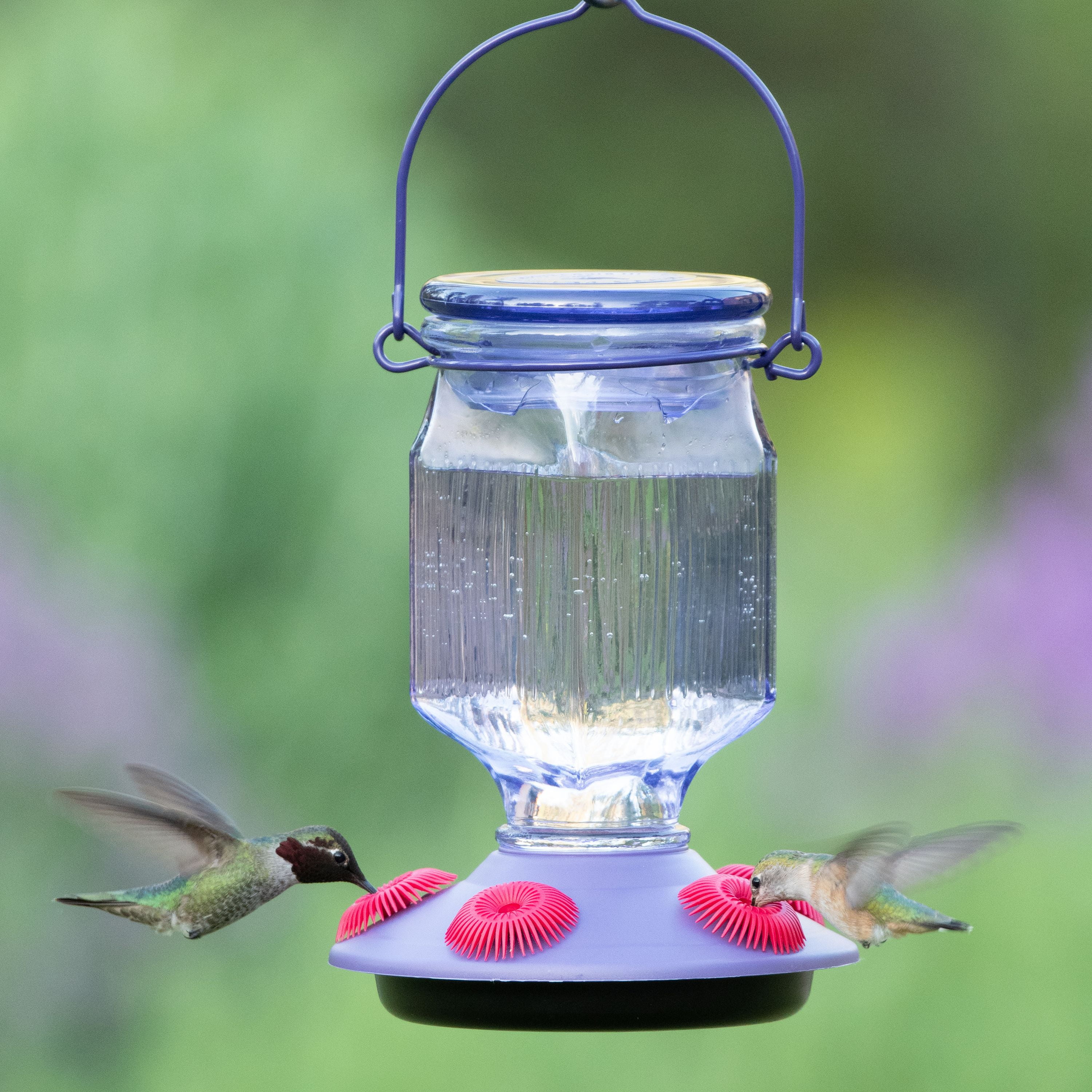 Perky-Pet Lavender Field Top-Fill Glass Hummingbird Feeder