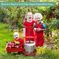 thumbnail image 4 of 2 Pack Brew Bags Extra Large Reusable 250 Micron Fine Mesh Bag for Fruit Cider Apple Grape Wine Press Drawstring Straining Brew in a Bag (2 pack-2226", 4 of 5