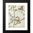 thumbnail image 2 of Jan Brandes 11x14 Black Modern Framed Museum Art Print Titled - East Indian Flower "Cambang Matjang" (1784), 2 of 5