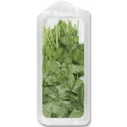 Fresh Italian Parsley, 0.75 oz
