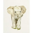 thumbnail image 3 of Wang, Melissa 20x24 Black Modern Framed Museum Art Print Titled - Baby Elephant II, 3 of 5