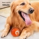 thumbnail image 5 of Pelota Rodante Eléctrica para Juguete Alivio Y Disfrute Personal para Y Gatos Pelota Eléctrica para A Las Mordeduras (naranja), 5 of 9