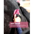 thumbnail image 3 of Grooming Kit Pink Complete Equine Brush Set for Shedding Daily Care, 3 of 7