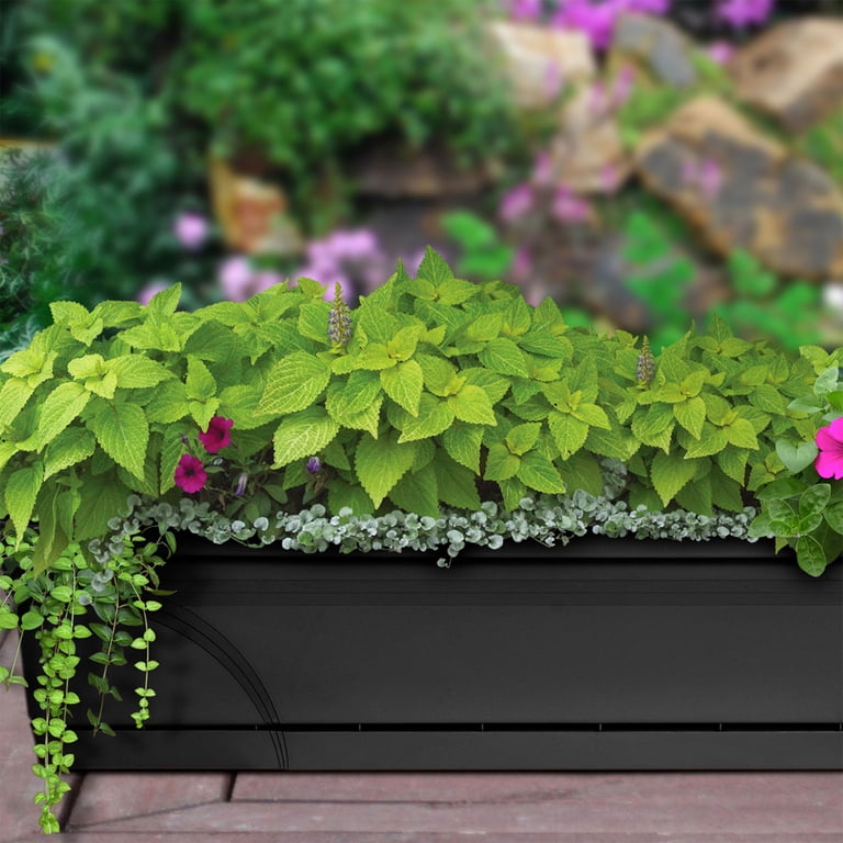tall thin plant pots Fora Eco Friendly Slim Pots From Gardening Naturally