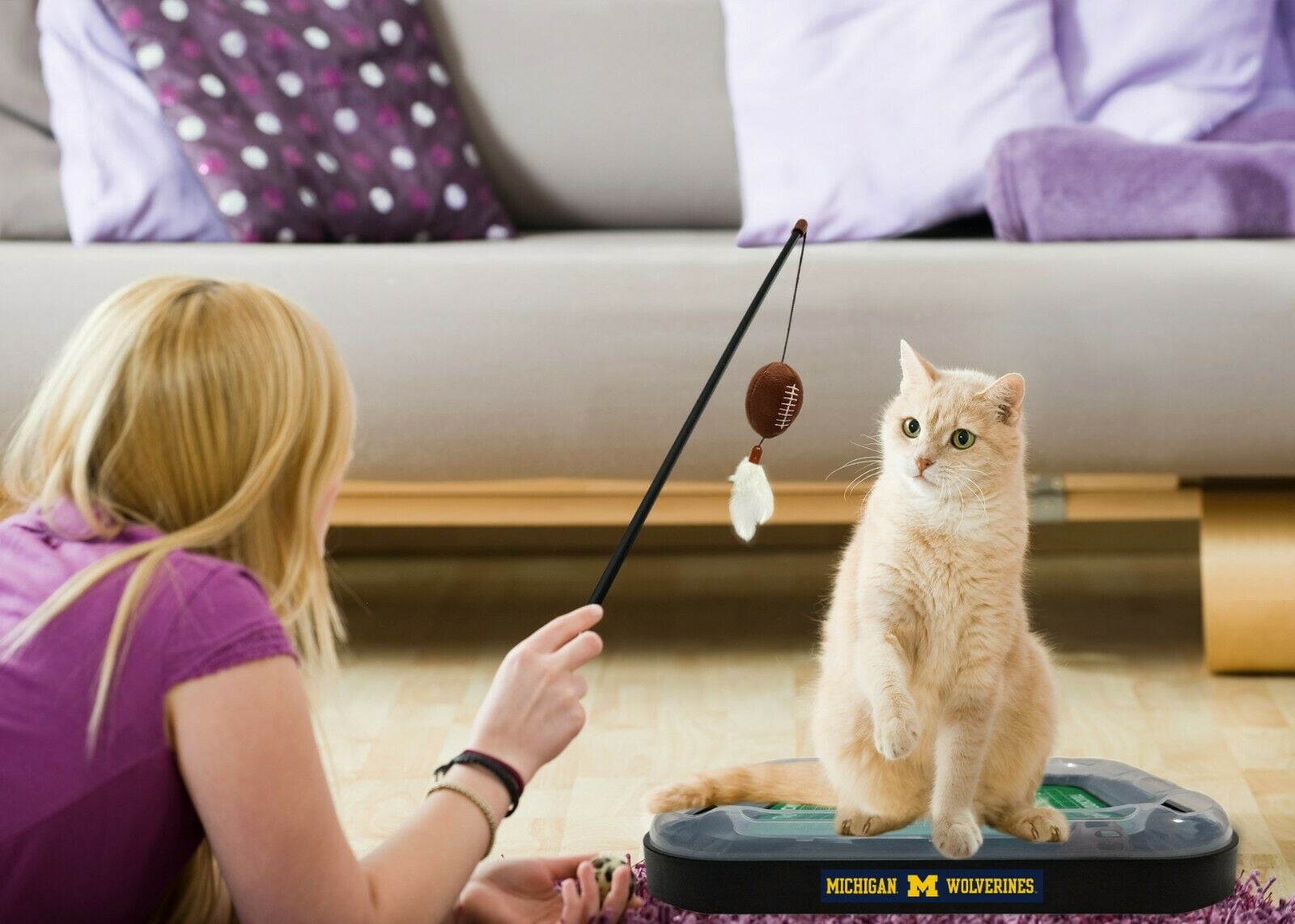 NCAA Michigan Wolverines CAT Scratcher Toy with Catnip Plush & Feather Cat Toy 5-in-1 Kitty Toy