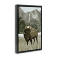 Stupell Industries Bison & Mountain Landscape Animals & Insects