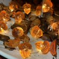 thumbnail image 1 of Decoraciones 3D Luces de hadas, Bellota de otoño de tamaño completo 2M 20 LED USB con control remoto para decoración de baby shower de cocina, 1 of 5