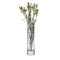 thumbnail image 1 of Libbey Cylinder 12-Piece, 7.5-inch Bud Vase Glass Set, 1 of 1
