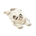 thumbnail image 2 of TanSiDing Cute Sleeping Cat Shaped Area Rug, Microfiber Absorbent Floor Mat for Bedroom Kitchen Living Room, Kitten Mat Floor Carpet Hallway Porch Entrance Doormat for Room,23.62x15.74 in, 2 of 6