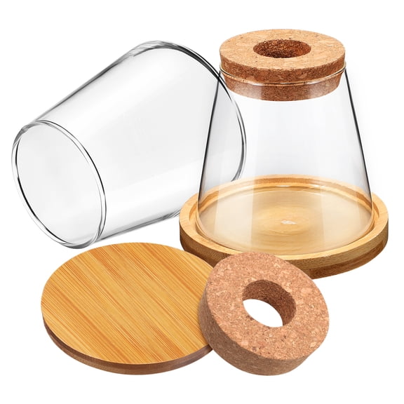 2 Pcs Plant Terrarium Teardrop Hydroponic Ecological Bottle