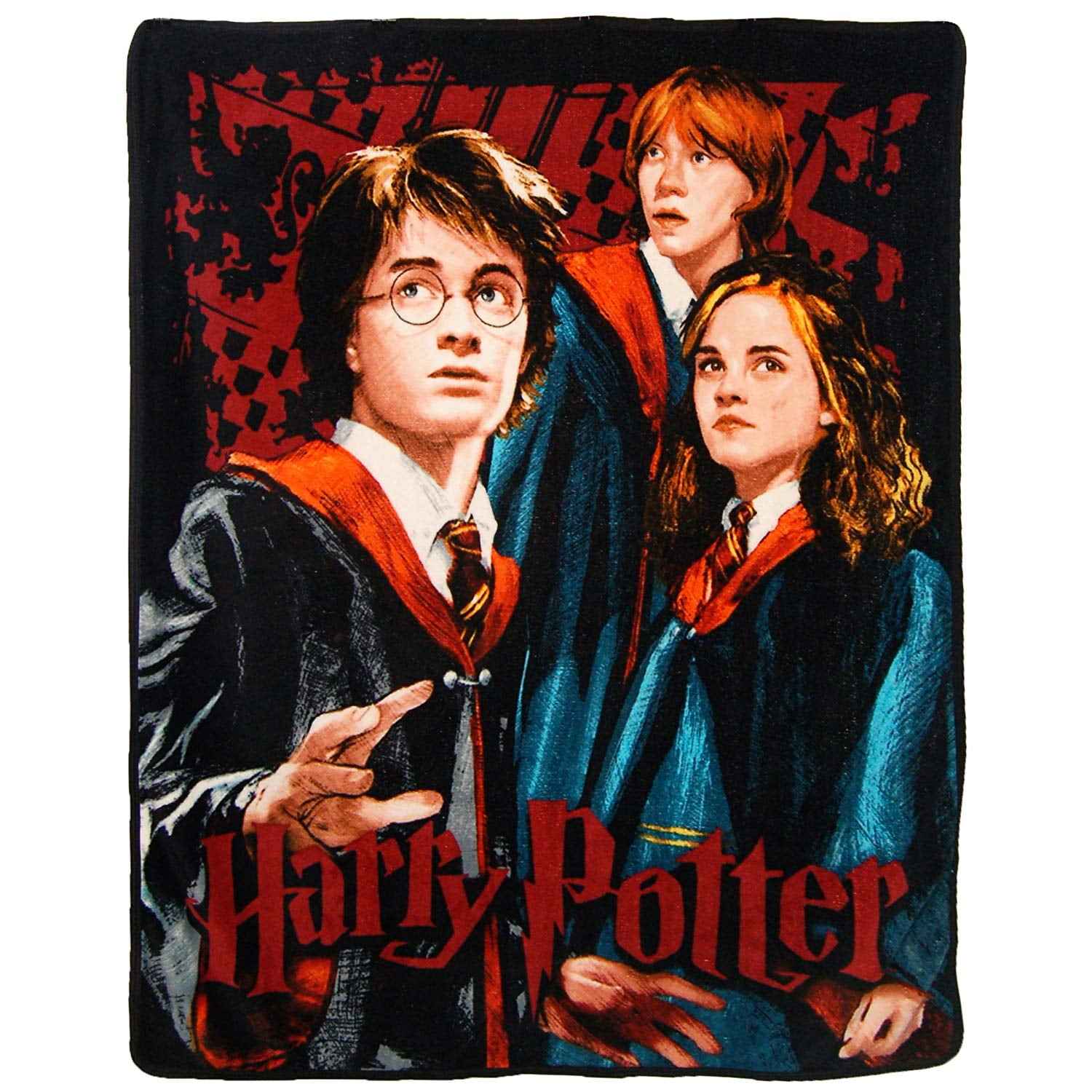 Harry Potter Wizards Micro Raschel 46 X 60 Throw Blanket, 