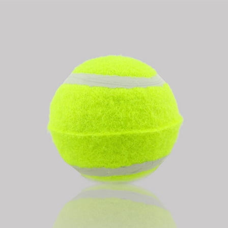 ELAYARD 3pcs Practice Tennis Balls for Players with Performance