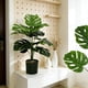 thumbnail image 4 of Monstera Deliciosa De Plástico Planta artificial Monstera con forma de tortuga en maceta verde, 12 hojas, planta artificial en maceta para decoración del hogar y la oficina (1 pieza). Rkxzt, 4 of 7