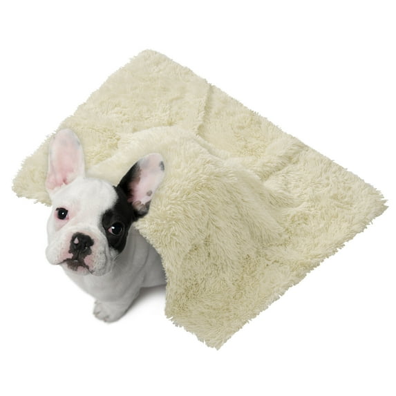 Litake Dog Blanket Pet Throw Cat Blankets Dog Throw Blanket Waterproof Faux Fur Washable Puppy Blanket for Couch,Car,Bed Warm Soft Pet Blanket for Small Medium Large Dogs and Cats, Beige, 24"×31 "