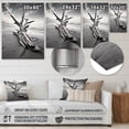 thumbnail image 4 of Designart "Driftwood on the Beach III" Nautical & Beach Metal Wall Decor, 4 of 5
